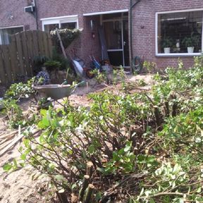 Aanleg van een mooie nieuwe tuin